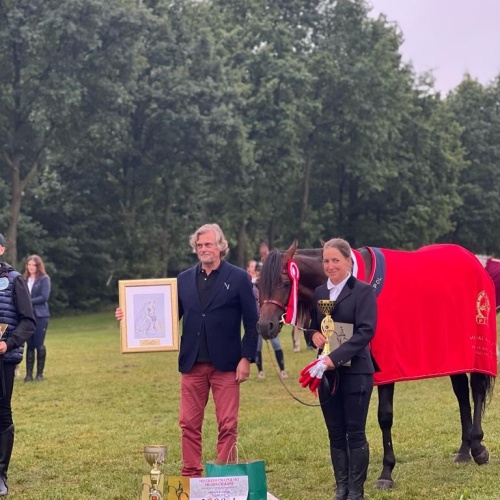THE TITLE OF THE POLISH YOUNG HORSE CHAMPION IN N CLASS BELONGS TO US